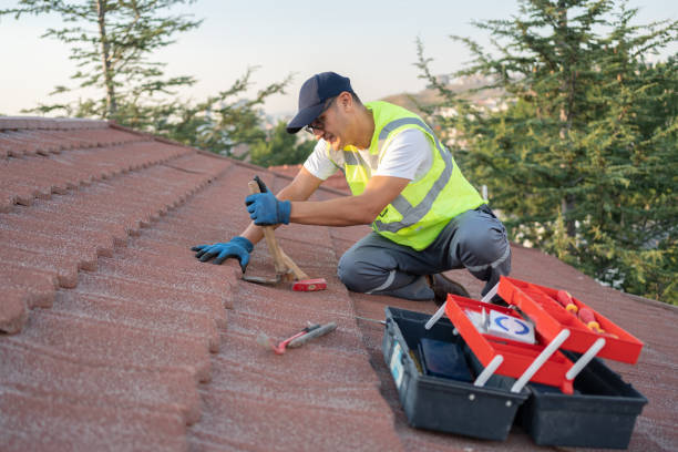 Best Gutter Installation and Roofing  in Grottoes, VA